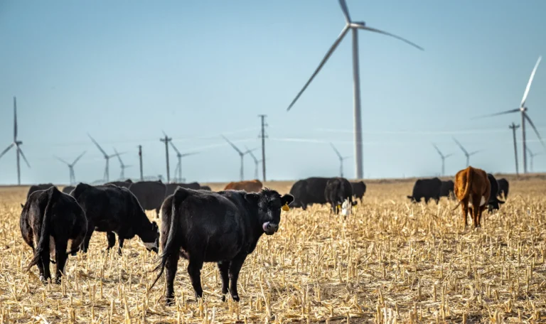 kit-carson-county-de-peque-o-pueblo-a-po