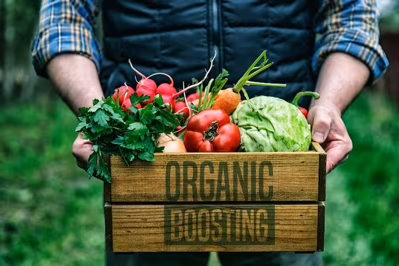 Agricultura Orgánica: Un Compromiso Profundo con Nuestro Planeta y Nuestro Bienestar