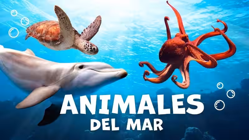¡Aventura en las Profundidades Azules: Descubriendo el Mar y sus Habitantes!