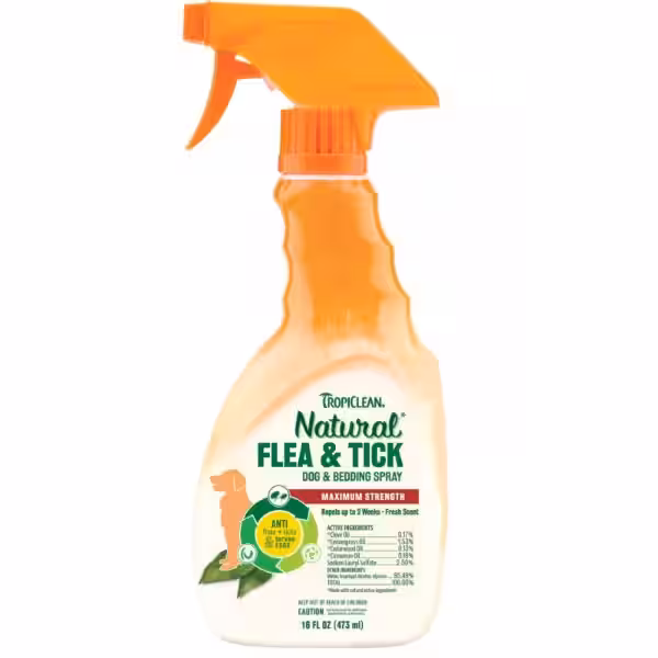 El Hogar Libre de Pulgas: Una Guía Completa para el Bienestar de Tu Familia y el Planeta