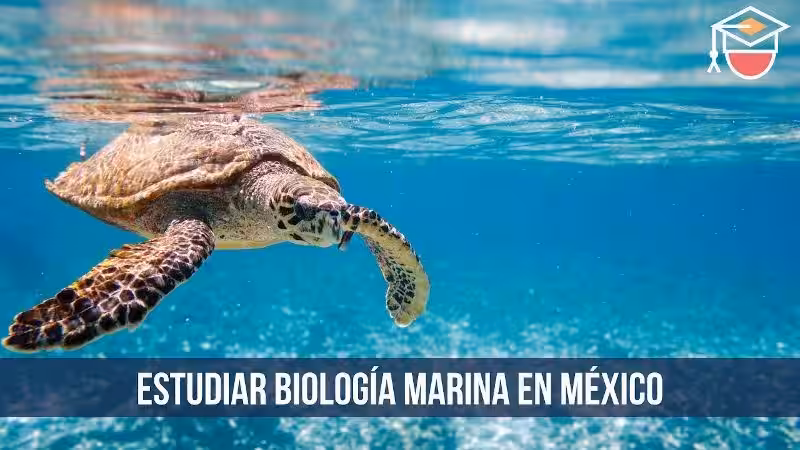 biologia_marina_carrera