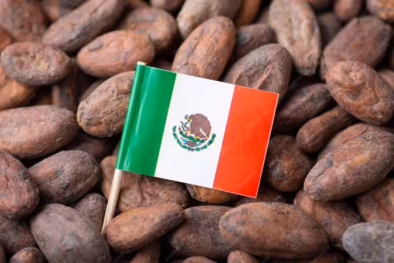 Cacao de México: Tesoro Ancestral y Guardián del Medio Ambiente