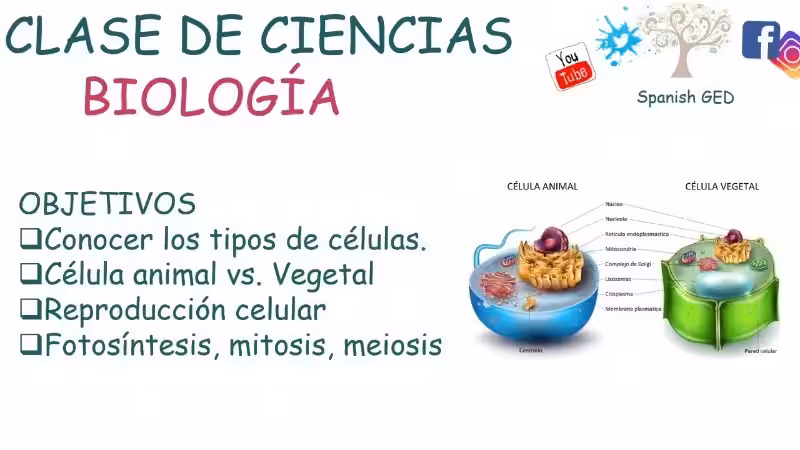 Clases de Biología: Tu Puerta de Entrada al Cuidado del Medio Ambiente