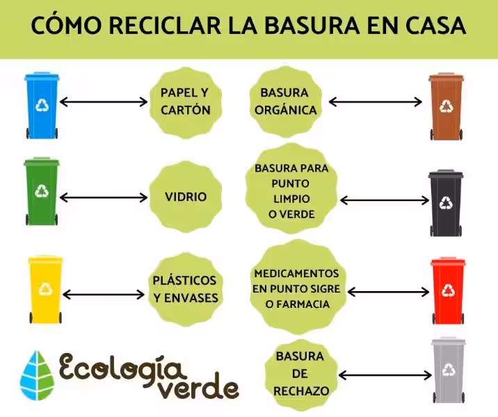 Reciclar para un Futuro Sostenible: ¡Tu Papel es Crucial!