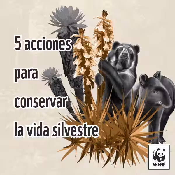 como_se_puede_conservar_una_especie_animal_o_vegetal