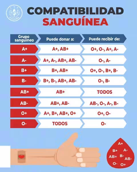 Compatibilidad de Sangre y un Planeta Saludable: Una Conexión Vital