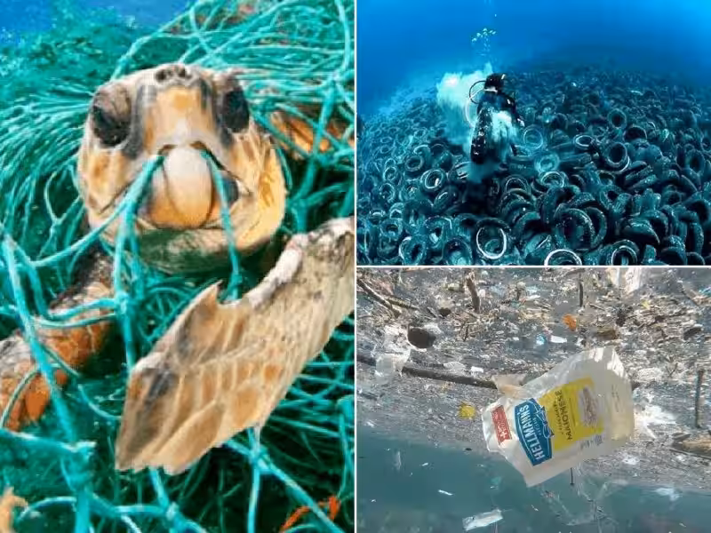contaminacion_de_mares