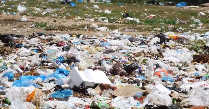 El Problema de las Bolsas de Plástico: Un Desafío Urgente para Nuestro Planeta