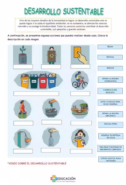 Desarrollo Sustentable: ¡Acciones Concretas para un Futuro Sostenible!