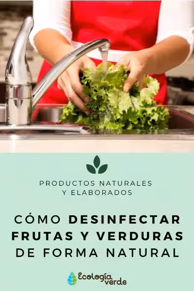 Dos Formas Caseras y Ecológicas de Desinfectar tus Alimentos: Protege tu Salud y el Planeta