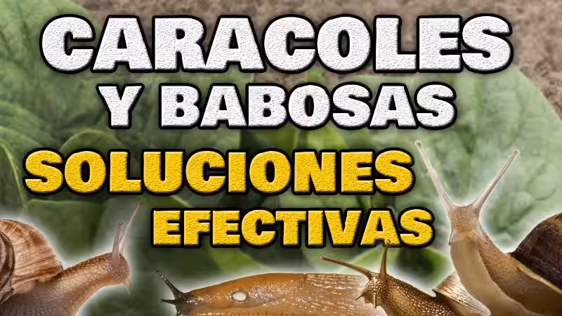 Eliminar Babosas del Jardín: Un Abrazo Verde para tu Espacio Exterior