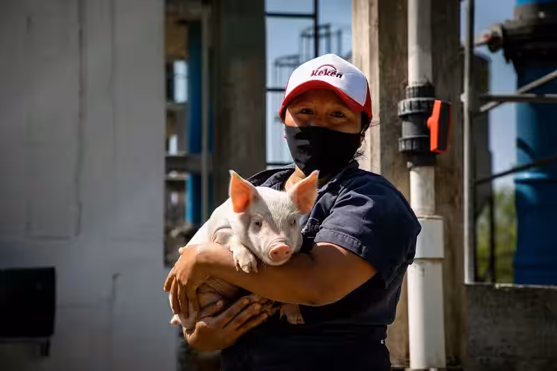 El Grupo Porcícola Mexicano: Un Actor Clave en la Sostenibilidad Ambiental