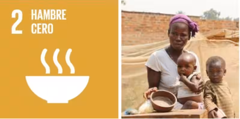 Hambre Cero, Nuestro Planeta: Una Misión Compartida para 2030