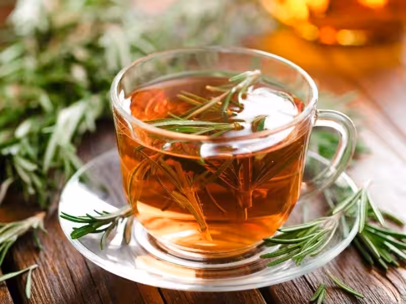 Infusión de Romero: Un Tesoro Verde para Nuestro Hogar y Nuestro Planeta