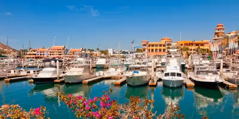 La Marina Cabo San Lucas: Un Santuario Marítimo en Armonía con el Medio Ambiente