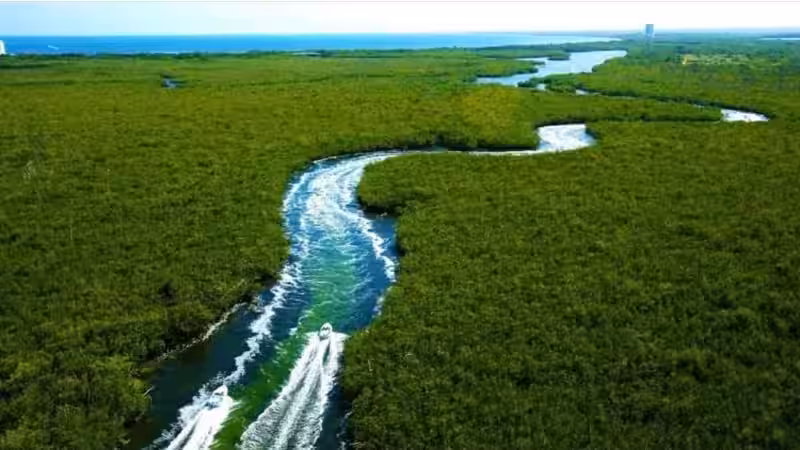 manglares_cancun