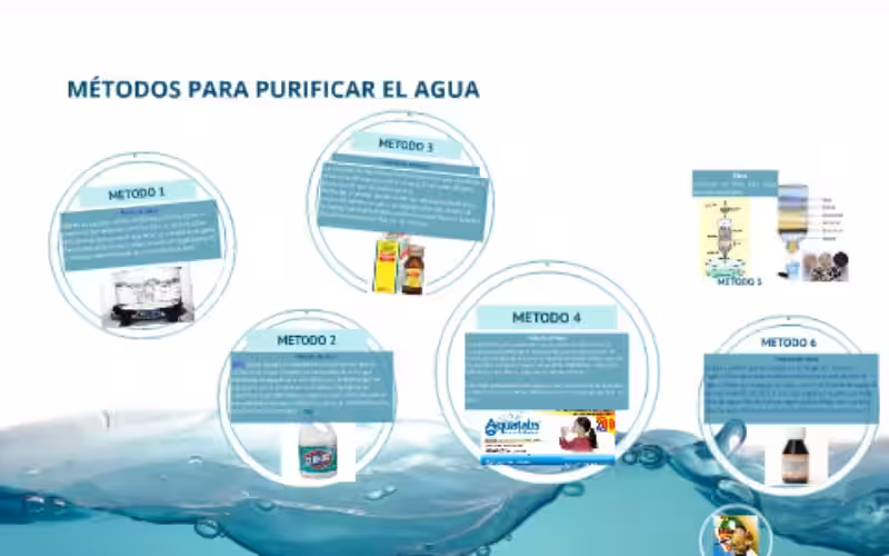 Métodos de Purificación: Guardianes Naturales de Nuestro Medio Ambiente y un Cuidado Ambiental Esencial