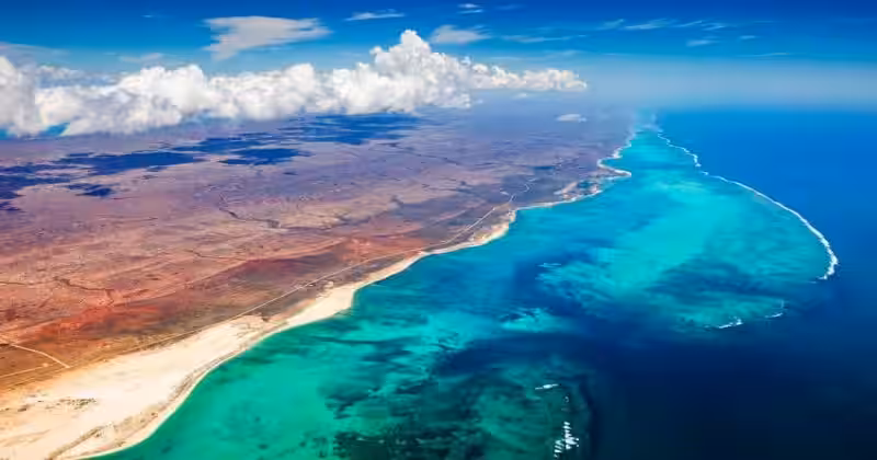 Ningaloo Reef: Un Tesoro Australiano y un Llamado a la Acción Ambiental