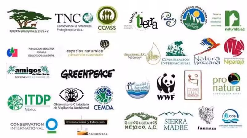 organizaciones_no_gubernamentales_ambientales