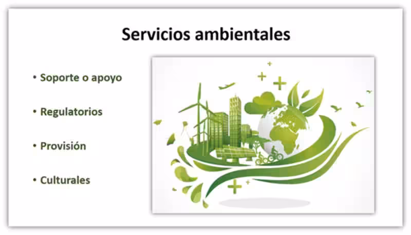 Los Servicios Ambientales: El Tesoro Oculto de Nuestras Regiones Naturales