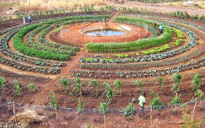 Permacultura: Cultivando un Futuro Sostenible para Nuestro Planeta y Nosotros