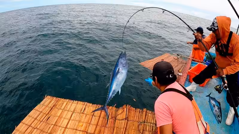 Pesca en Alta Mar: Un Acto de Equilibrio con Nuestro Océano