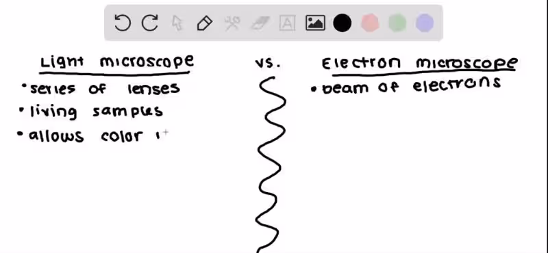 Ignaz Semmelweis y el Misterio del Microscopio: Un Enfoque Revolucionario en la Higiene