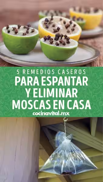 que_es_bueno_para_los_moscos