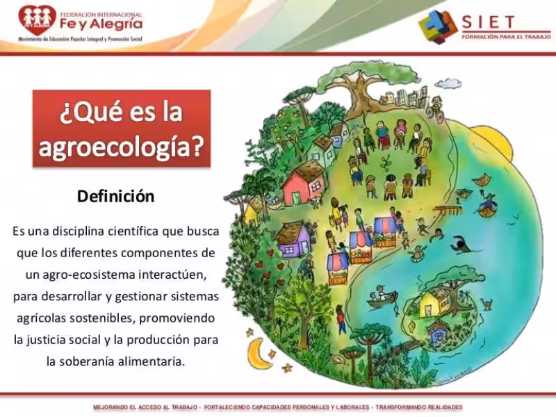 que_es_la_agroecologia_y_su_importancia
