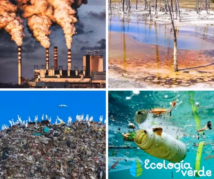 Nuestra Casa Común: Comprendiendo y Combatiendo la Contaminación para un Ambiente Sano