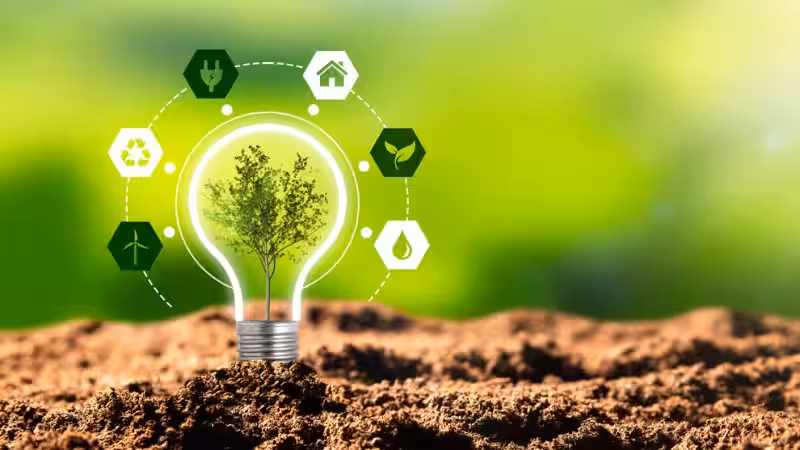 Soluciones Sostenibles: Nuestro Compromiso con un Medio Ambiente Vibrante