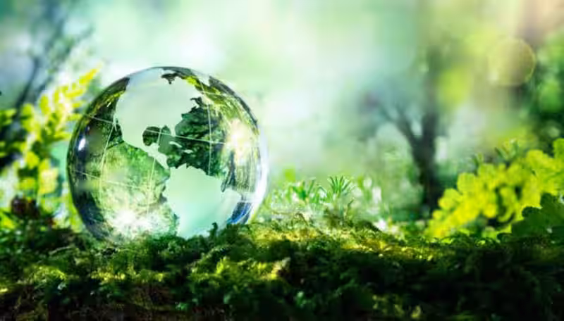 Sustentabilidad: El Camino Hacia un Planeta Sano y un Futuro Prometedor