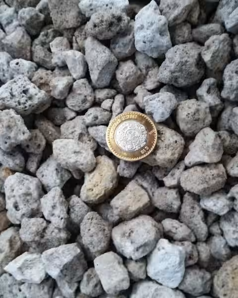 Tepojal: Un Tesoro Natural con un Precio Justo y un Compromiso Ambiental Inquebrantable