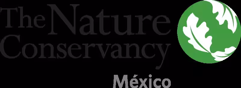 El Futuro de Nuestro Planeta: El Papel Crucial de The Nature Conservancy México en el Cuidado Ambiental