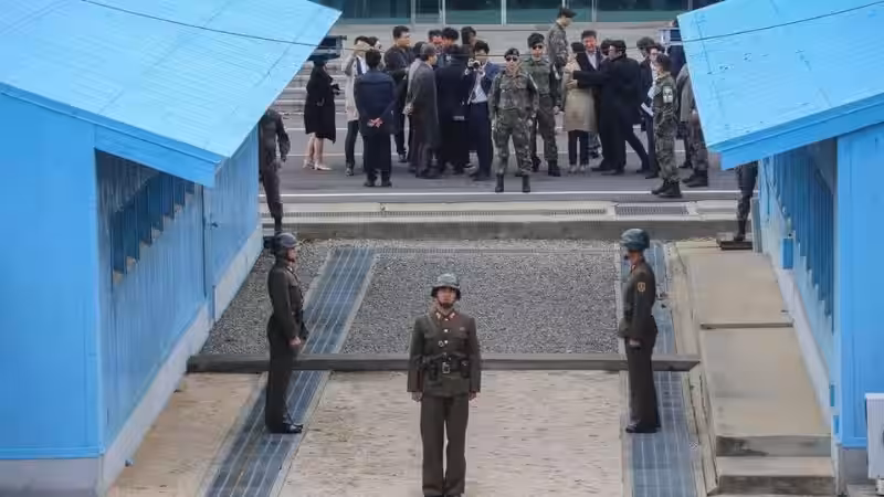 La Zona Desmilitarizada: Un Refugio Inesperado para la Naturaleza